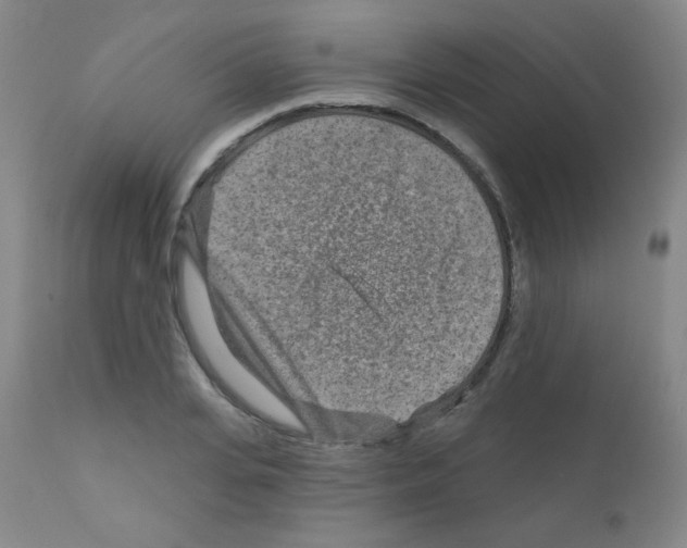 X0000111790935200909031153