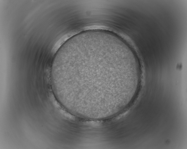 X0000111790937200909031153