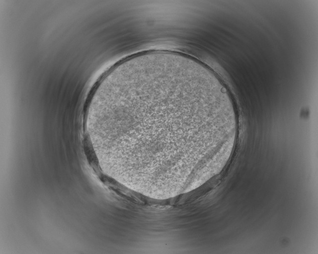 X0000111790939200909031153