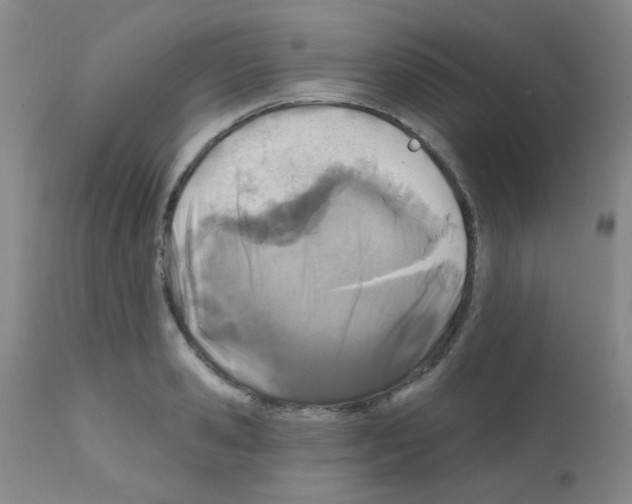 X0000111790941200909031153