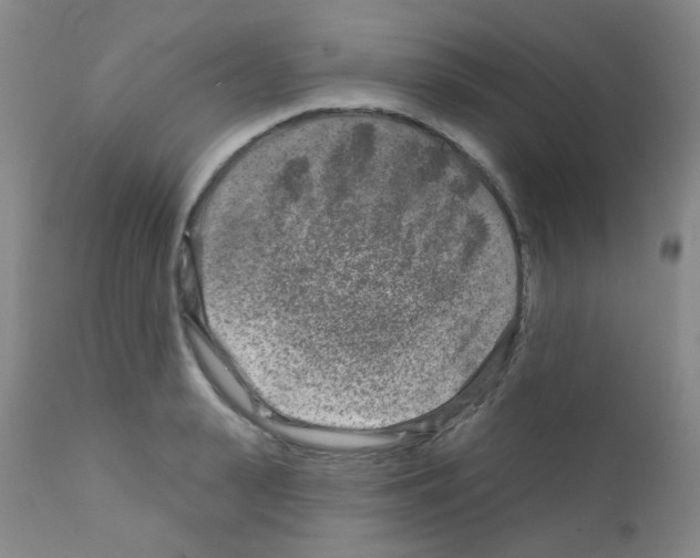 X0000111790943200909031153