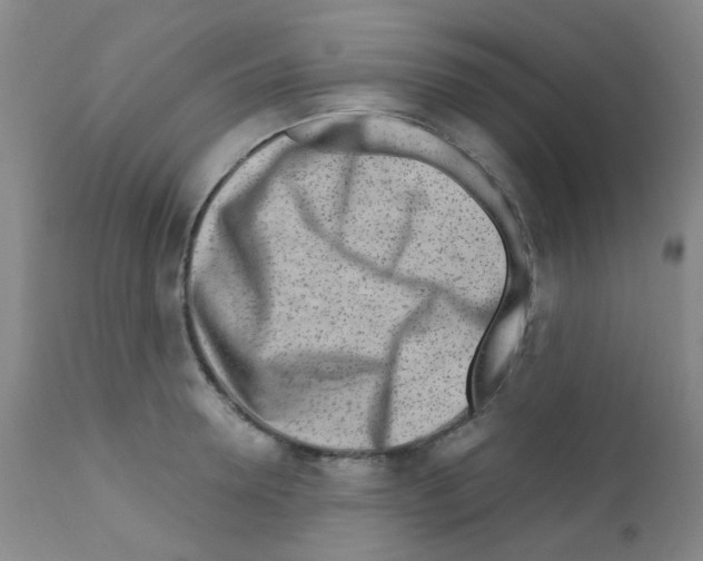 X0000111790946200909031154