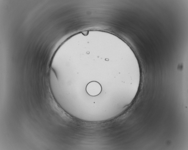 X0000111790948200909031154