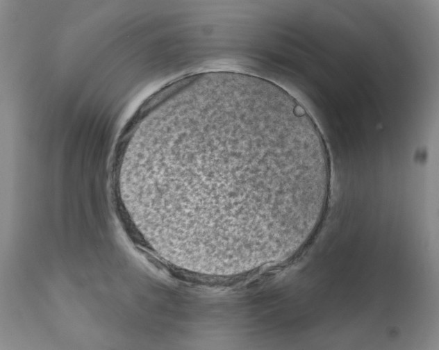 X0000111790949200909031154