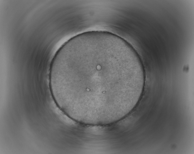 X0000111790950200909031154