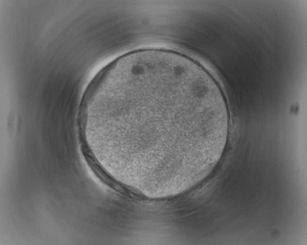 X0000111790951200909031154