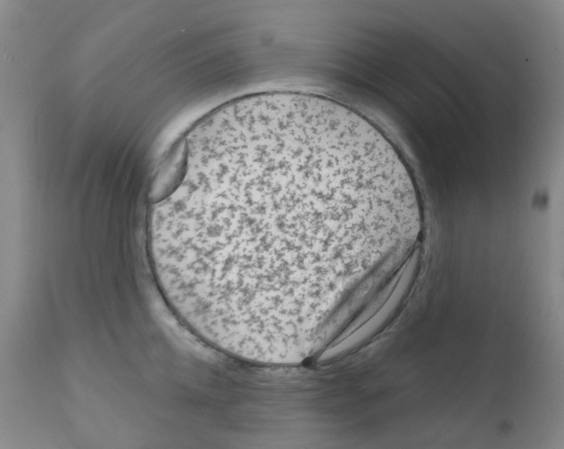 X0000111790952200909031154