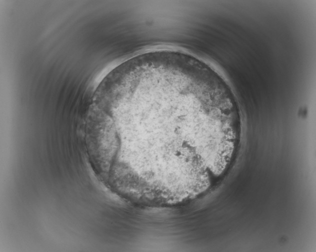 X0000111790953200909031154