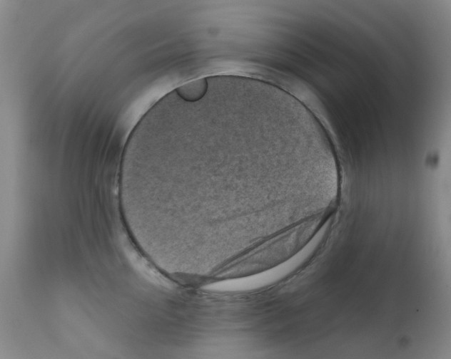 X0000111790954200909031154