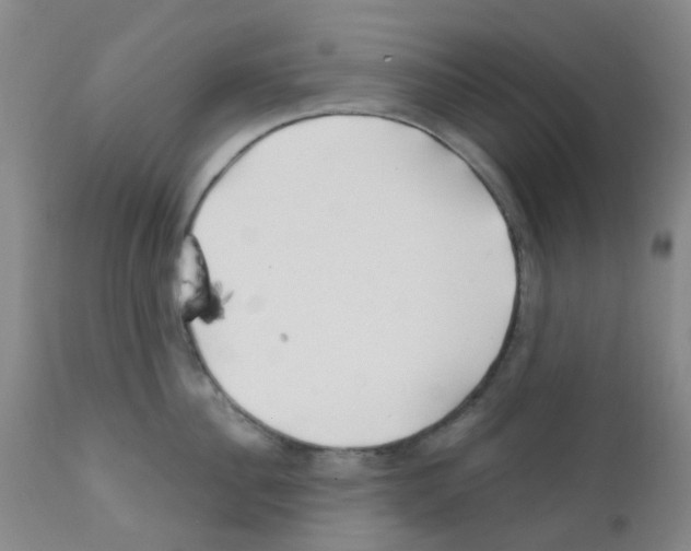 X0000111790956200909031154