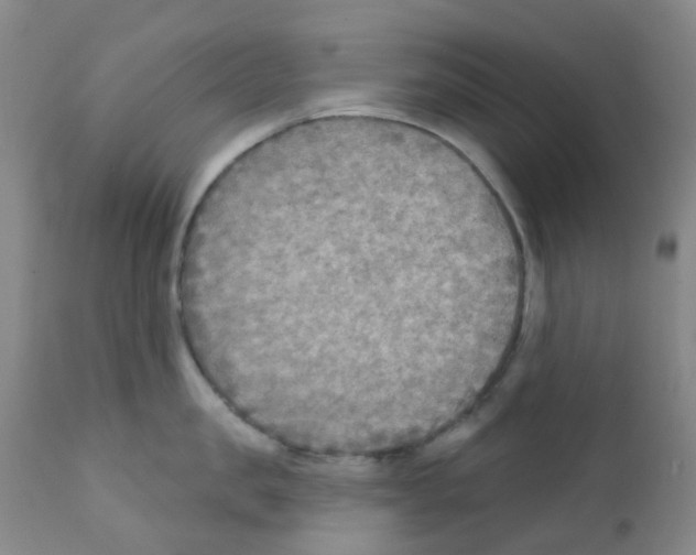 X0000111790957200909031154