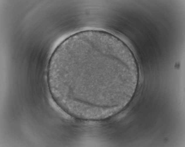 X0000111790958200909031154