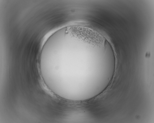 X0000111790960200909031154