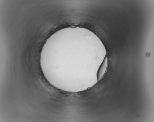 X0000111790961200909031153