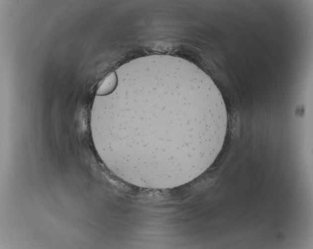 X0000111790962200909031153