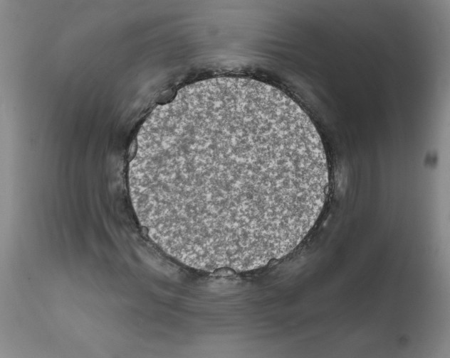 X0000111790964200909031153