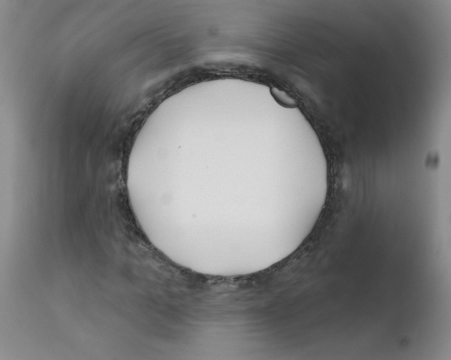 X0000111790965200909031153