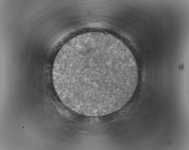 X0000111790968200909031153