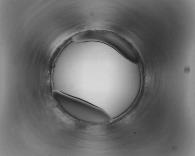 X0000111790973200909031153