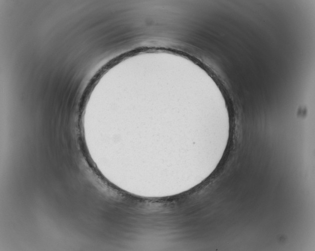 X0000111790976200909031153