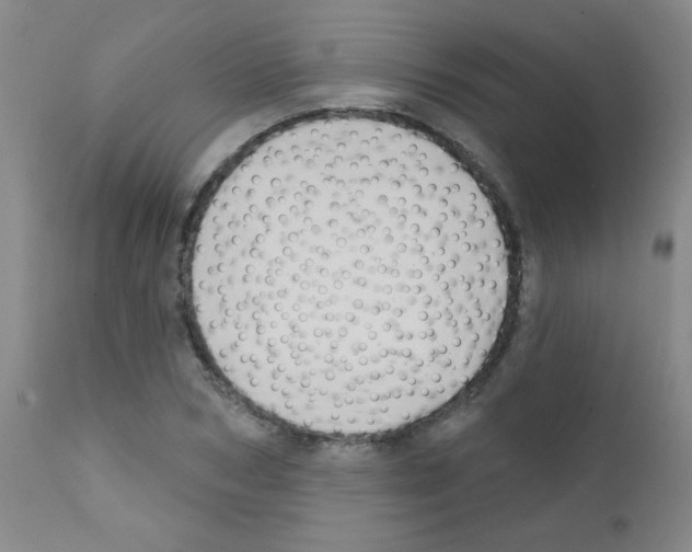 X0000111790978200909031153