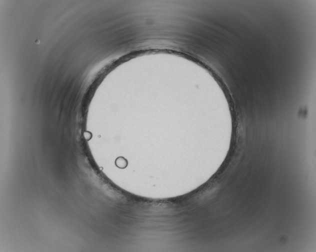 X0000111790979200909031153