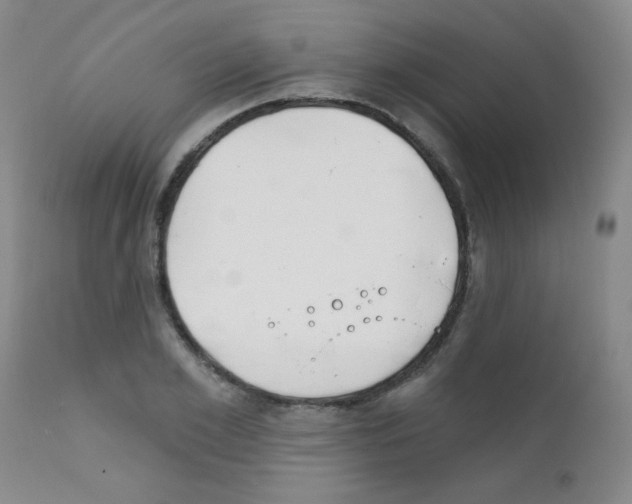 X0000111790981200909031153