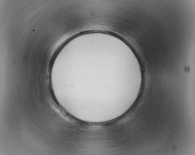 X0000111790982200909031153