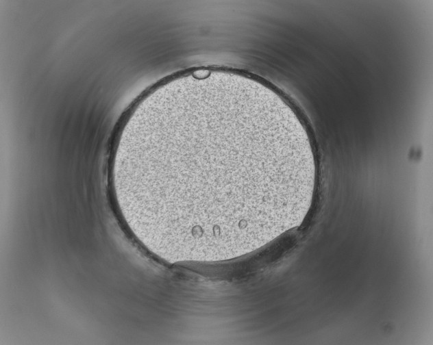 X0000111790983200909031153