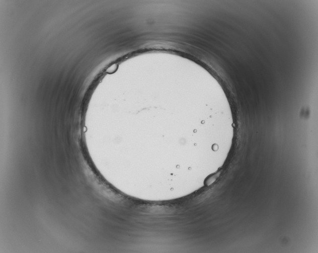 X0000111790984200909031153