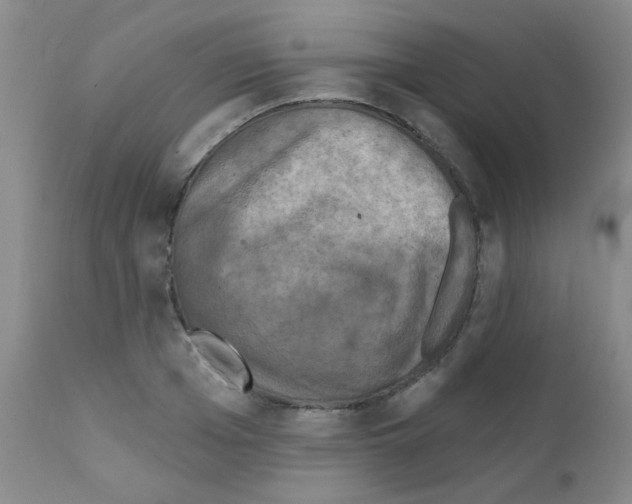 X0000111790985200909031153