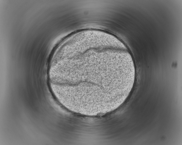 X0000111790987200909031153