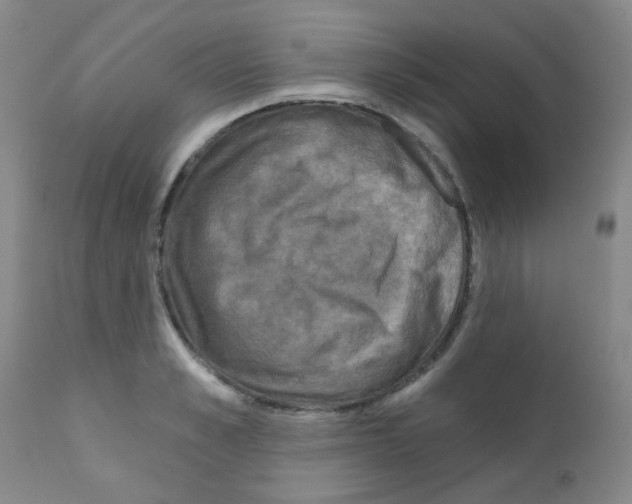 X0000111790989200909031153