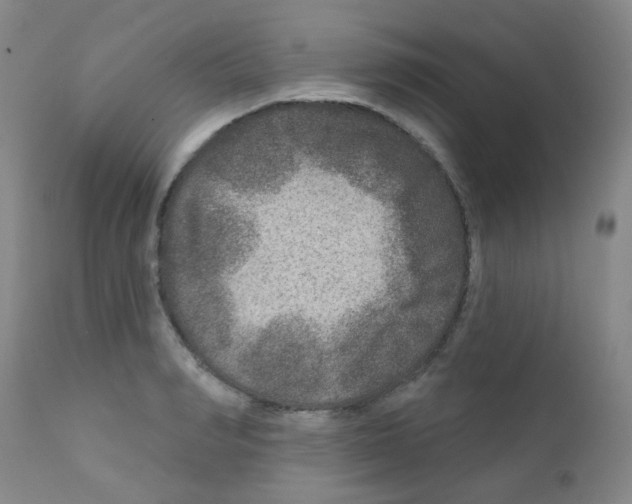 X0000111790990200909031153