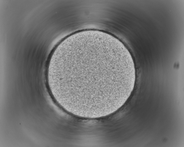 X0000111790991200909031153