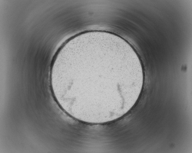 X0000111790992200909031153