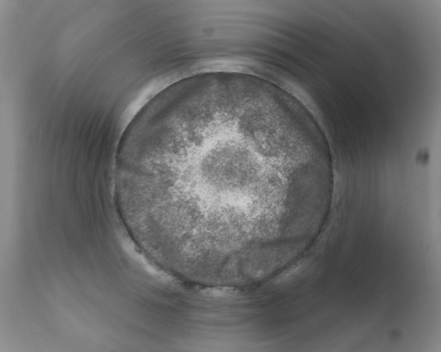 X0000111790994200909031153