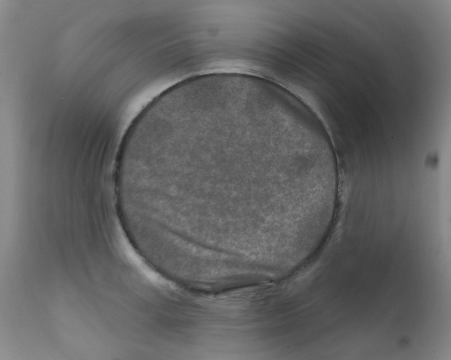 X0000111790995200909031153