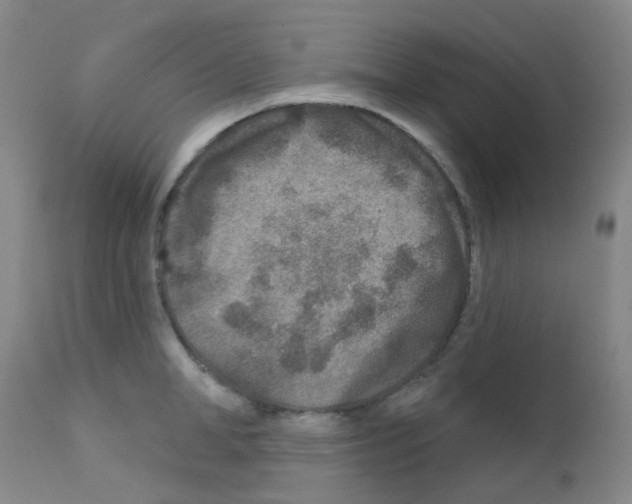 X0000111790998200909031153