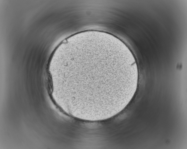 X0000111790999200909031153