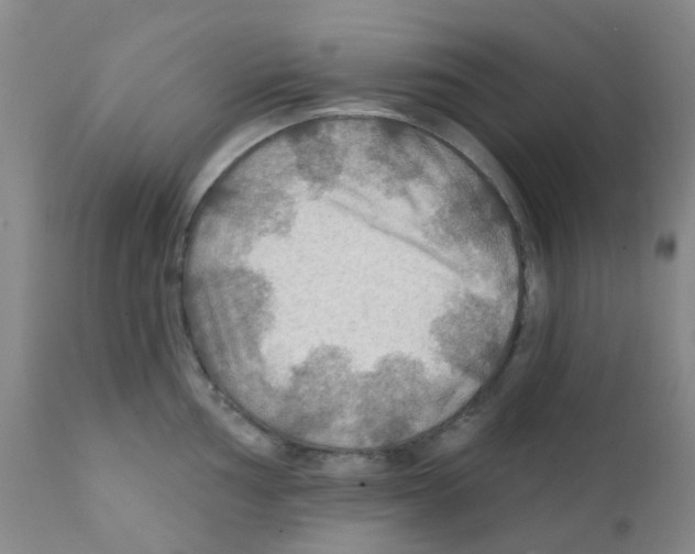 X0000111791002200909031153