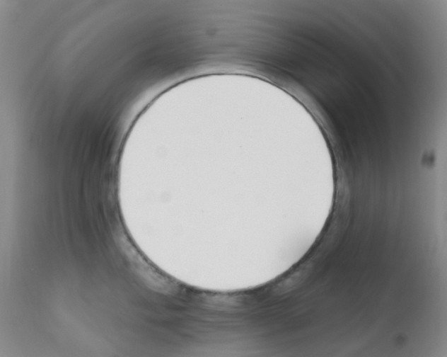 X0000111791004200909031152