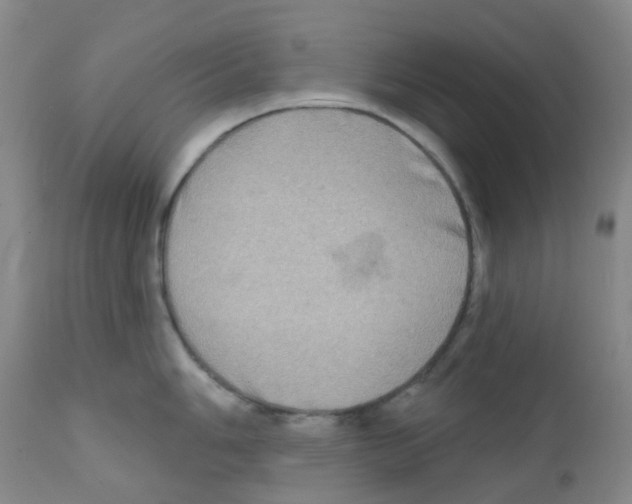 X0000111791006200909031152