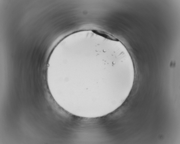 X0000111791008200909031152