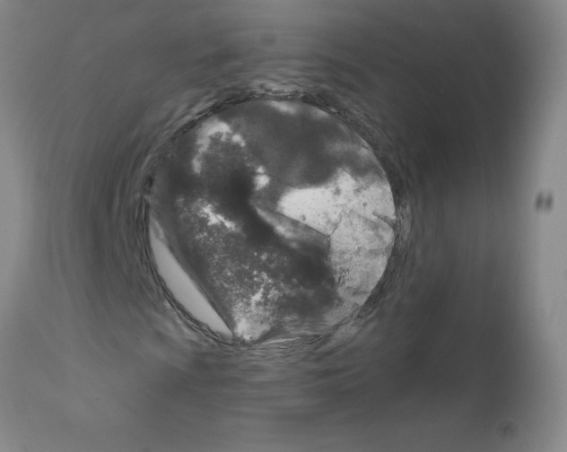 X0000111791009200909031152