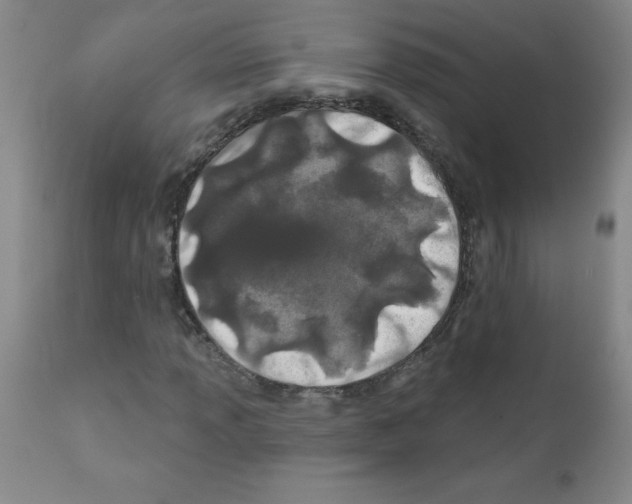 X0000111791013200909031152