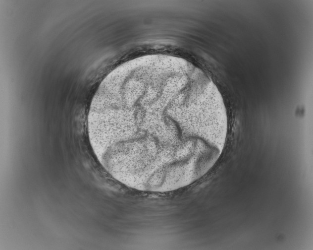 X0000111791014200909031152