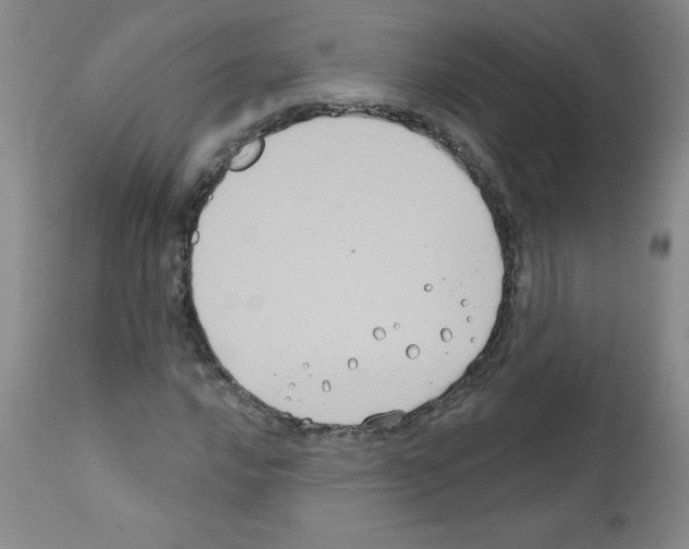 X0000111791016200909031152