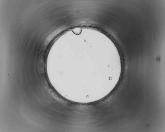 X0000111791018200909031152