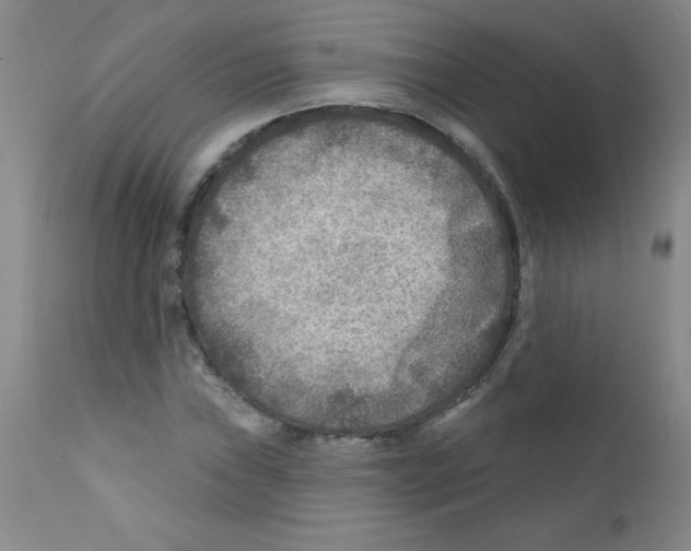 X0000111791019200909031152